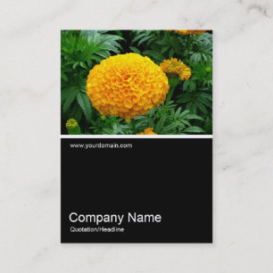 Carte De Visite Half&Half Photo 0163 - Orange Chrysanthemum