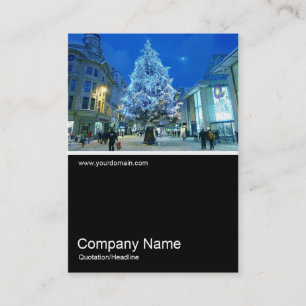 Carte De Visite Half&Half Photo 0194 - Neige à Cardiff