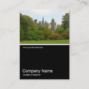 Carte De Visite Half&Half Photo 0237 - Château de Cardiff