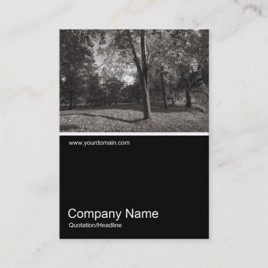 Carte De Visite Half&Half Photo 0267 - Automne dans le parc (Devant)