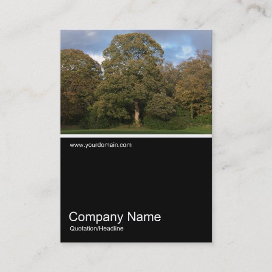 Carte De Visite Half&Half Photo 0276 - Automne dans le parc (Devant)