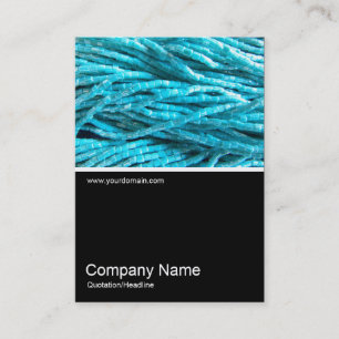 Carte De Visite Half&Half Photo 0278 - Tresses en perles