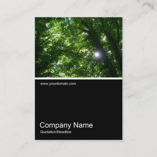 Carte De Visite Half&Half Photo 027 - Soleil dans les arbres (Devant)