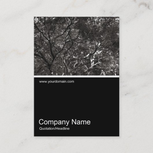 Carte De Visite Half&Half Photo 0284 - Branches japonaises 01 (Devant)