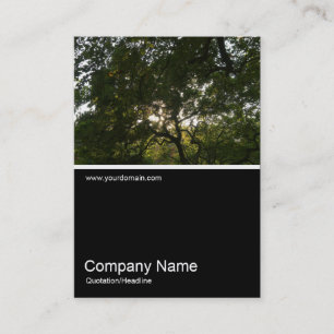 Carte De Visite Half&Half Photo 0287 - Branches japonaises 04