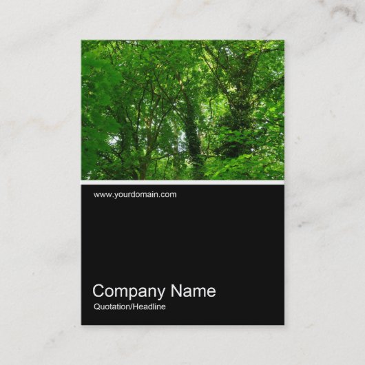 Carte De Visite Half&Half Photo 028 - Dans les arbres (Devant)