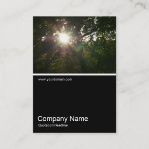 Carte De Visite Half&Half Photo 0290 - Branches japonaises 07