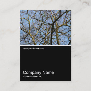 Carte De Visite Half&Half Photo 0298 - Branches à lumière chaude
