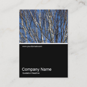 Carte De Visite Half&Half Photo 0302 - Branches de bouleau d'argen