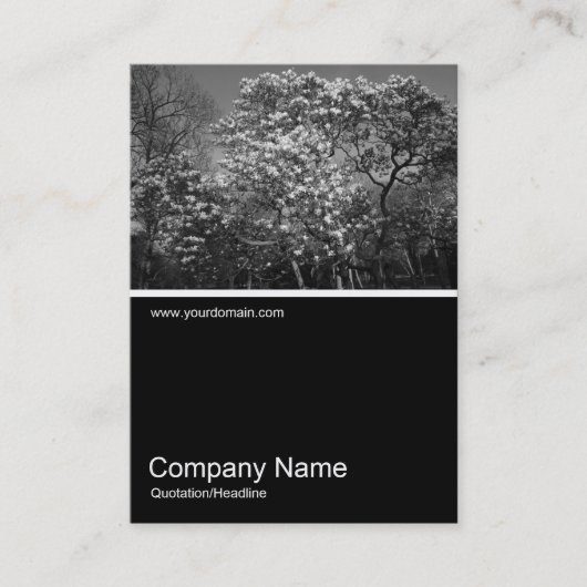 Carte De Visite Half&Half Photo 0314 - Arbre de Magnolia en fleurs (Devant)