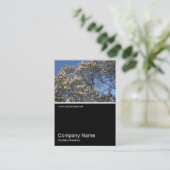 Carte De Visite Half&Half Photo 0315 - Arbre de Magnolia en fleurs (Debout devant)