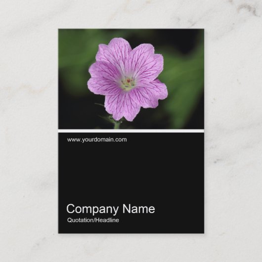 Carte De Visite Half&Half Photo 0325 - Geranium Endressii (Devant)