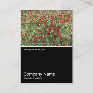 Carte De Visite Half&Half Photo 0379 - Lit de Tulips