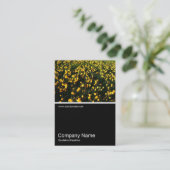 Carte De Visite Half&Half Photo 05 - Crocus (Debout devant)