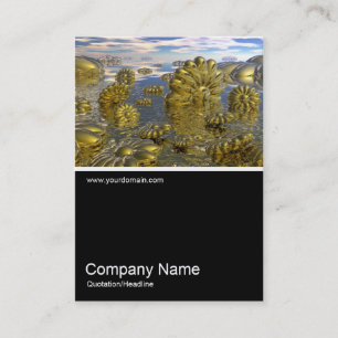 Carte De Visite Half&Half Photo 072 - Terre de Midas