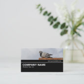 Carte De Visite Halfway V2 032 - Good Morning Pigeon (Debout devant)