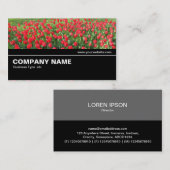 Carte De Visite Halfway V2 034 - Lit de Rouges Tulipes 01 (Devant / Derrière)