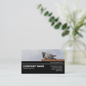 Carte De Visite Halfway V3 041 - Good Morning Pigeon (Debout devant)