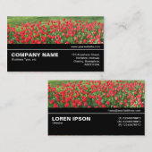 Carte De Visite Halfway V3 043 - Lit de Rouges Tulips 01 (Devant / Derrière)