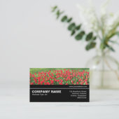 Carte De Visite Halfway V3 043 - Lit de Rouges Tulips 01 (Debout devant)