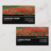 Carte De Visite Halfway V3 044 - Lit de Rouges Tulips 02 (Devant / Derrière)