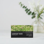 Carte De Visite Halfway V3 09 - Sedum (Automne Joy) (Debout devant)