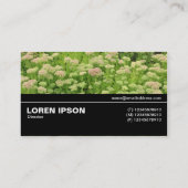 Carte De Visite Halfway V3 09 - Sedum (Automne Joy) (Dos)