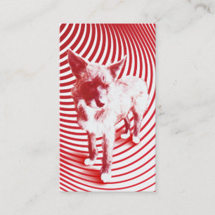 Carte De Visite hazie fou