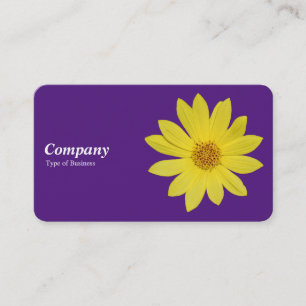Carte De Visite Helianthus 'Lemon Queen' Tournesol - Royal Purple