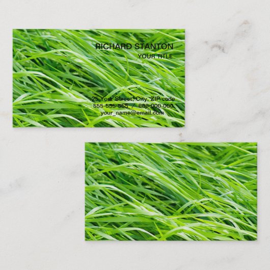Carte De Visite Herbe (Devant / Derrière)
