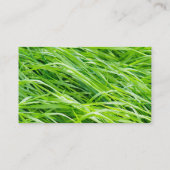 Carte De Visite Herbe (Dos)