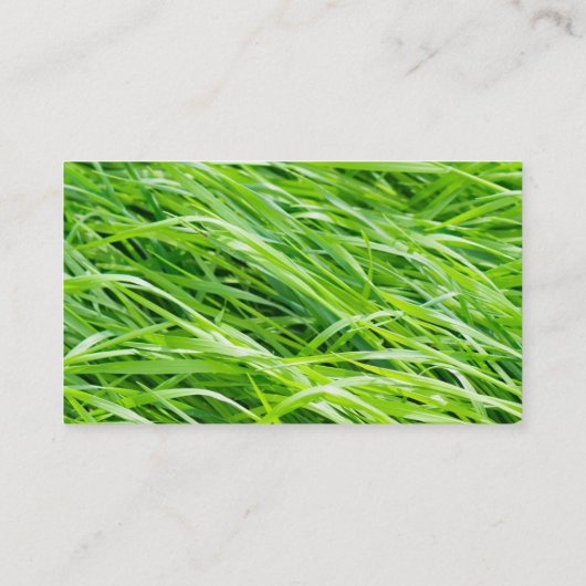 Carte De Visite Herbe (Dos)