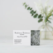 Carte De Visite Herbe blanche (Debout devant)
