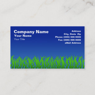 Carte De Visite Herbe verte contre le ciel clair bleu