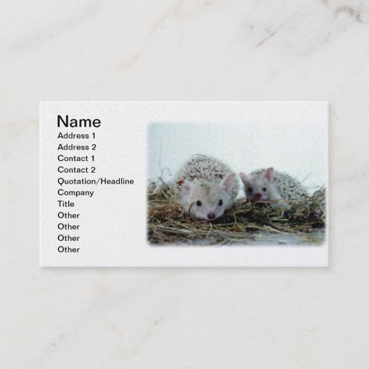 Carte De Visite Hérissons comme animaux familiers (Devant)