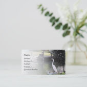 Carte De Visite Héron (Debout devant)