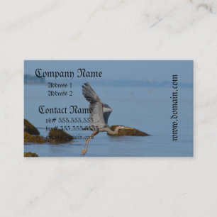 Carte De Visite Héron de grand bleu volant