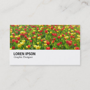 Carte De Visite Hi-Phi - 0188 - Mer de Tulipes II
