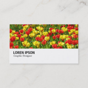 Carte De Visite Hi-Phi - 0190 - Mer des Tulipes III