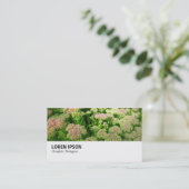 Carte De Visite Hi-Phi - 0244 - Sedum "Autumn Joy" (Debout devant)
