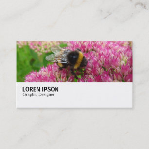 Carte De Visite Hi-Phi - 0246 - Bumble Bee on Sedum