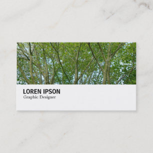 Carte De Visite Hi-Phi - 0249 - Érable japonais