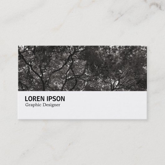 Carte De Visite Hi-Phi - 0264 - Branches japonaises 01 (Devant)