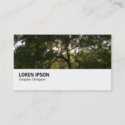 Carte De Visite Hi-Phi - 0267 - Branches japonaises 04 (Devant)