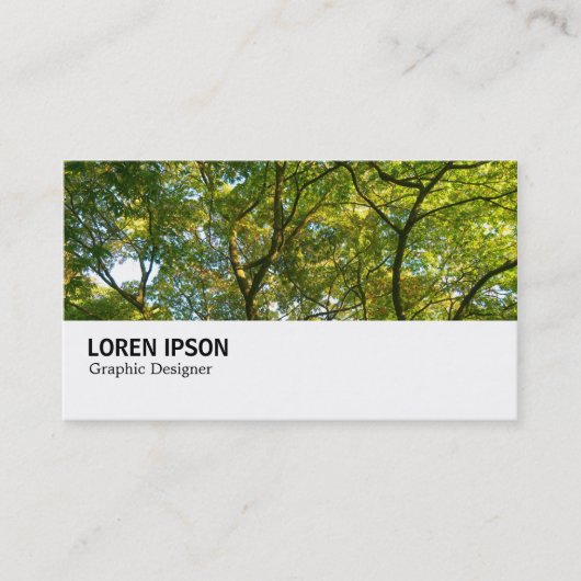 Carte De Visite Hi-Phi - 0269 - Branches japonaises 06 (Devant)