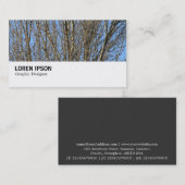 Carte De Visite Hi-Phi - 0276 - Branches Sunlit (Devant / Derrière)