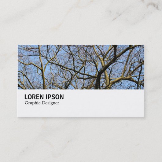 Carte De Visite Hi-Phi - 0277 - Branches (Devant)