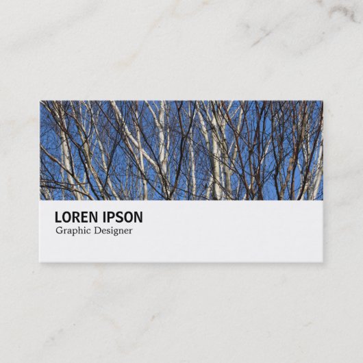 Carte De Visite Hi-Phi - 0279 - Branches de bouleau d'argent (Devant)