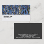 Carte De Visite Hi-Phi - 0279 - Branches de bouleau d'argent (Devant / Derrière)
