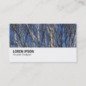 Carte De Visite Hi-Phi - 0279 - Branches de bouleau d'argent (Devant)